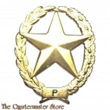 Metalen Brevet PISTOOL Nederlands leger ( Dutch pistol sharpshooter badge)