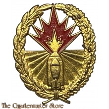 Brevet Algemene vuursteunsystemen (Dutch Firesupport badge)