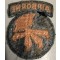 Sleeve badge 17th Abn Division 