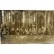 Ansicht 1914 Nederlandse telefoon post en wielrijders