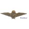 Baret embleem Korps Speciale Troepen 