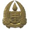Badge Army Gymnasium South African