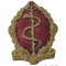 Badge Medical Services South Africa pre 1983