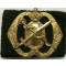 Baret embleem Regiment Geneeskundige Troepen 