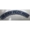 Glider Pilot Regiment