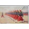 Zouaves postcard