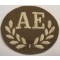 Qualification trade badge Ammunition Examiner