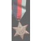 1939-45 Star