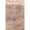 AnsichtsKarte (Mil. Postcard) Soldier in the Field posing 1912