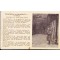 AnsichtsKarte (Mil. Postcard) Lily Marleen