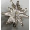 Edelweiss Austrian Gebirgs truppen 