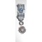 Miniature medal Republic Francais