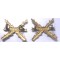 Schouderemblemen Regiment Chassee 1950-1963