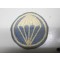Service cap badge Para Infantry