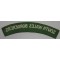 South Wales Borderers WW2 cloth shoulder title