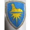 Mouwembleem USA Intelligence Command