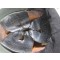 Helm M38 Milsco KNIL