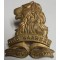 Regiment de la Rey beret badge