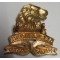 Regiment de la Rey beret badge