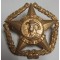 South African Voorwaarts/Forward cap badge