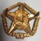 South African Voorwaarts/Forward cap badge