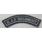 Regimental designation RAF Regiment