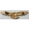 RAF officers dress cao badge