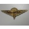 Beret Belgie Para-Commando Regiment, HQ and Schools