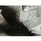 GP bag OD