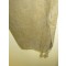 Jas en broek wol Japan (Tunic and pants Private 1st class wool)