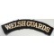 Welsh Guards shoulder title