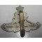Cap badge Indian Artillery