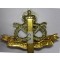 cap badge south staffordshire regiment