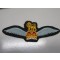 RAF BRITISH GLIDER PILOTS WINGS