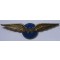 WW2 Waarnemers wing (World War II Royal Dutch Airforce observers  wing)