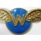 WW2 Waarnemers wing (World War II Royal Dutch Airforce observers  wing)