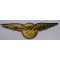 WW2 Waarnemers wing (World War II Royal Dutch Airforce observers  wing)