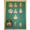 Collection of Dutch post war capbadges