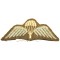 British WW2 paratrooper jumpwing