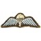 British WW2 paratrooper jumpwing