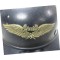 Stahlhelm M38 Luftschutz (Luftschutz M38 Gladiator Helmet with decal)