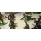 OKI Zinnfiguren Wehrmacht 49 stuck (German Wehrmacht  about 1938, near mint original painting 1,18 inch,Flat-figures)