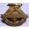 Collar badge Regiment Louw Wepener/Oos Vrystaat