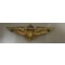 Navy/USMC aviators wing, Vanguard hallmark