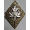 Royal canadian Womens corps