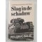 Slag in de schaduw