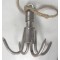 Grapnel with bag  / Dreg met tas