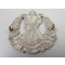 Capbadge Cameron Highlanders of Canada