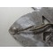RAD ('Reichsarbeitsdienst') cap-badge. Magnetic steel construction cap-badge, complete with borth prongs. Nicely maker marked with 'B&N' and dated 1944. Nice example in good unissued condition!
