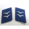 Luftwaffe Medical Division Gefreiter Collar Tabs 